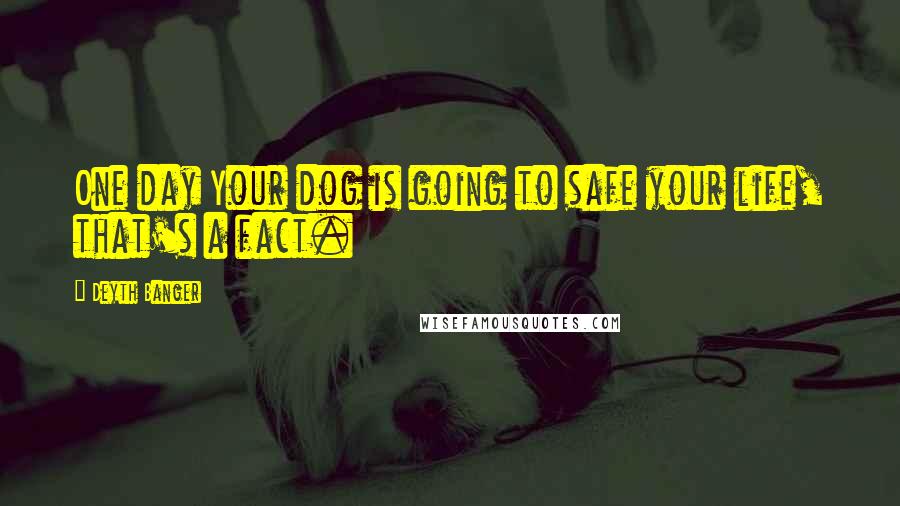 Deyth Banger Quotes: One day Your dog is going to safe your life, that's a fact.