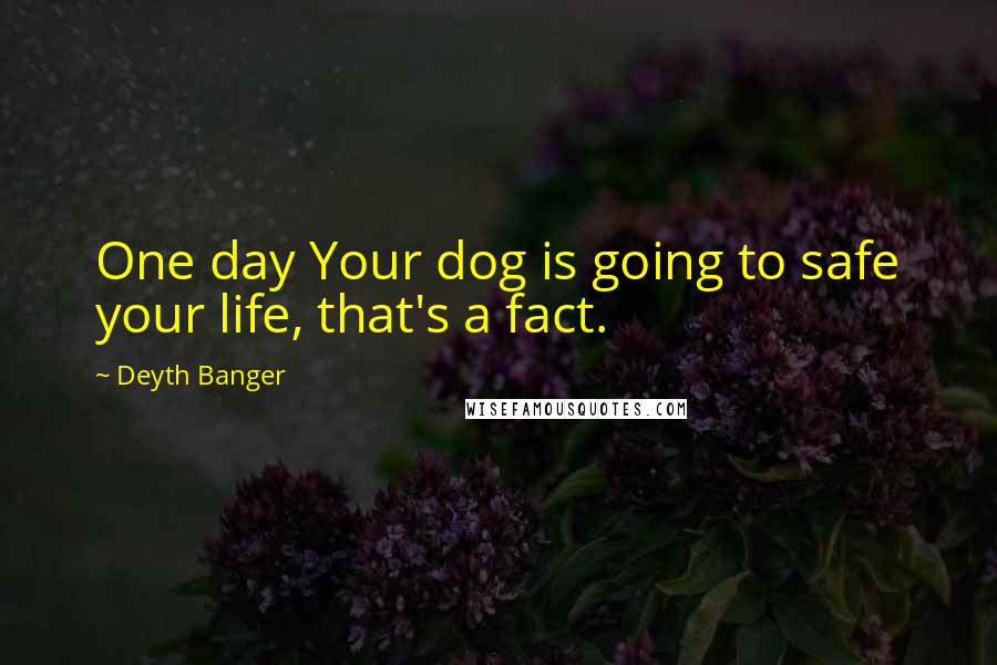 Deyth Banger Quotes: One day Your dog is going to safe your life, that's a fact.