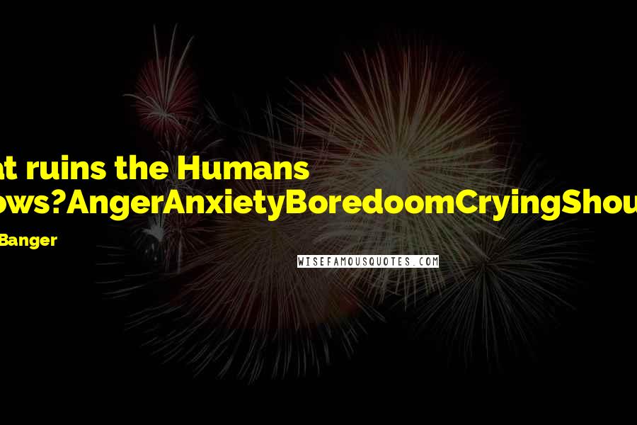 Deyth Banger Quotes: What ruins the Humans fellows?AngerAnxietyBoredoomCryingShouting