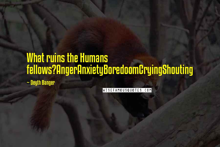 Deyth Banger Quotes: What ruins the Humans fellows?AngerAnxietyBoredoomCryingShouting