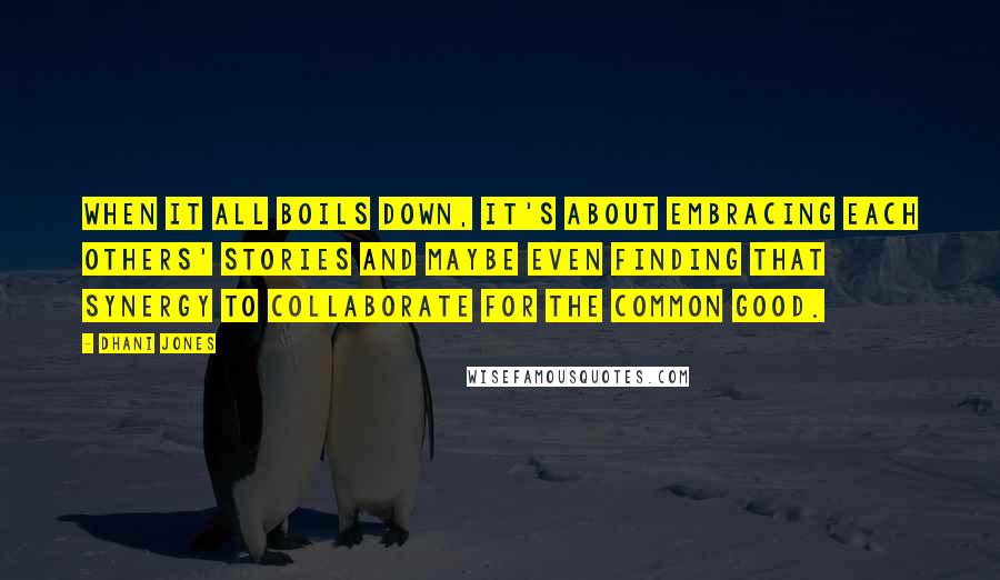 Dhani Jones Quotes: When it all boils down, it's about embracing each others' stories and maybe even finding that synergy to collaborate for the common good.