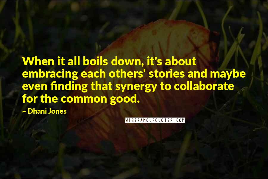 Dhani Jones Quotes: When it all boils down, it's about embracing each others' stories and maybe even finding that synergy to collaborate for the common good.