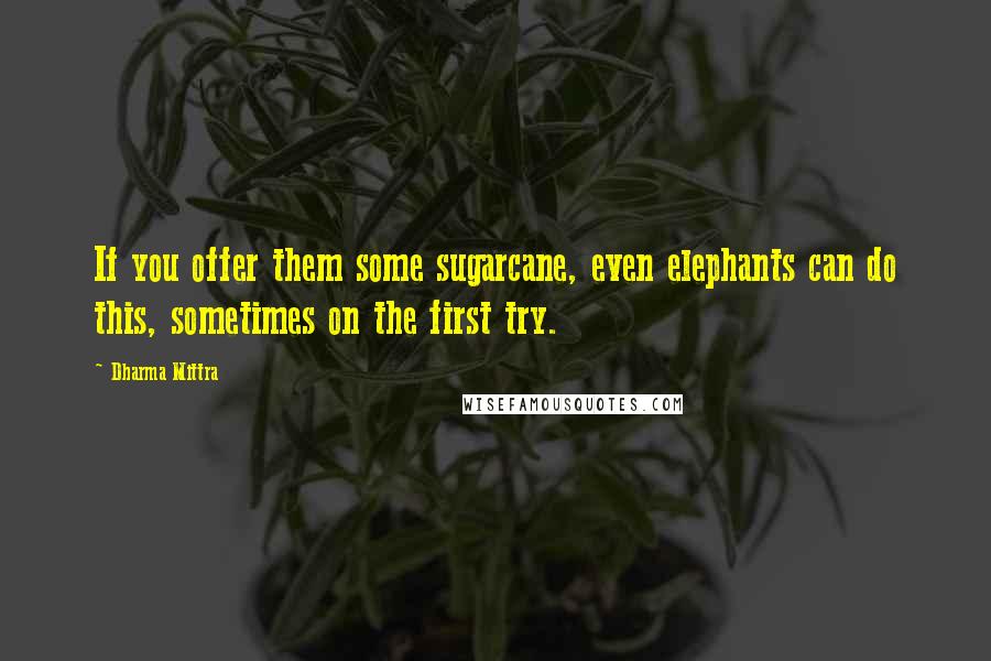 Dharma Mittra Quotes: If you offer them some sugarcane, even elephants can do this, sometimes on the first try.