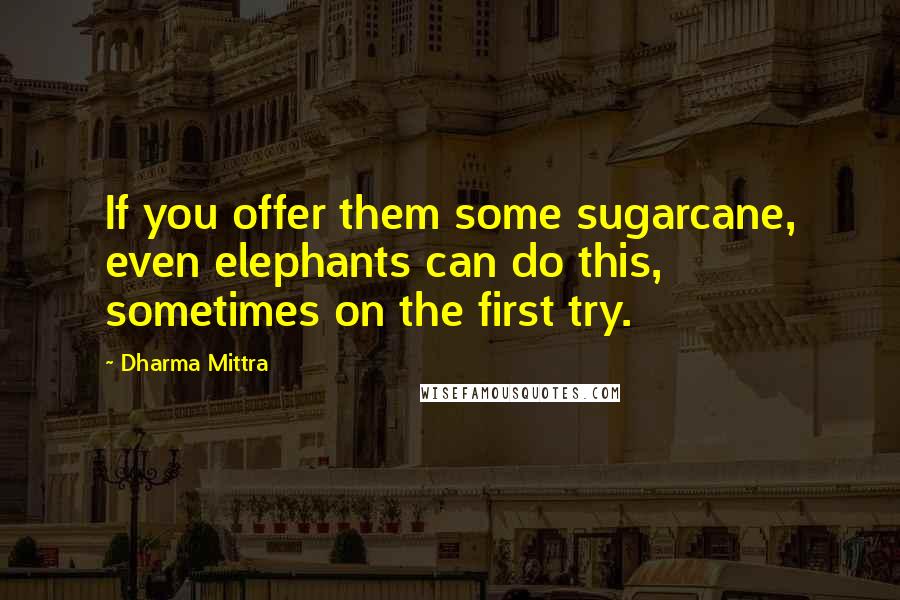 Dharma Mittra Quotes: If you offer them some sugarcane, even elephants can do this, sometimes on the first try.