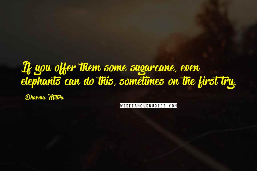 Dharma Mittra Quotes: If you offer them some sugarcane, even elephants can do this, sometimes on the first try.