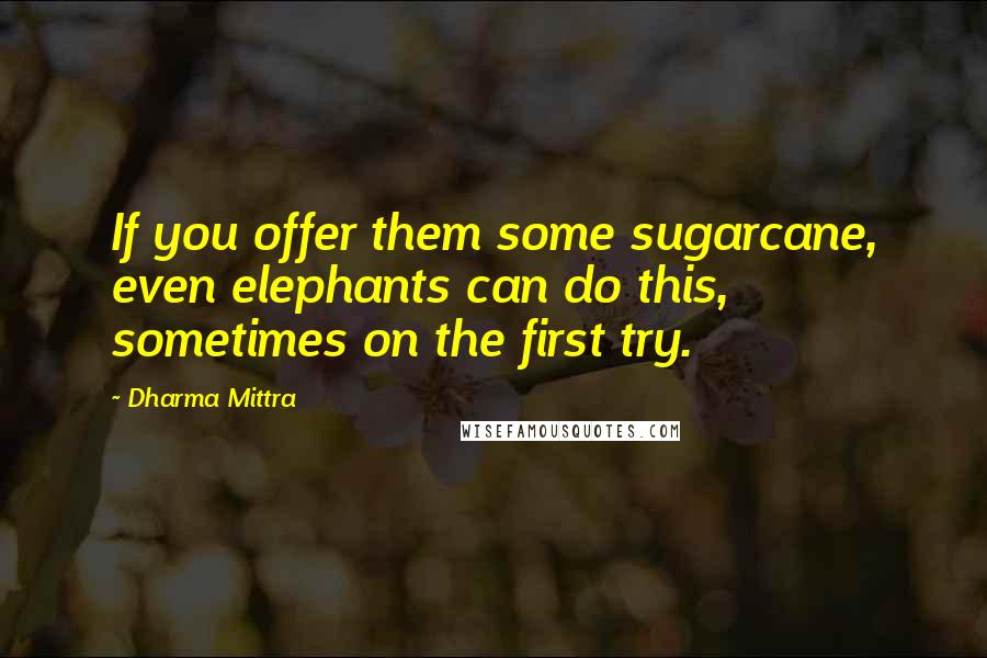 Dharma Mittra Quotes: If you offer them some sugarcane, even elephants can do this, sometimes on the first try.