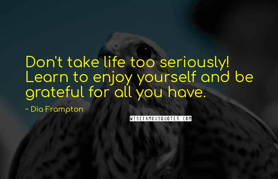 Dia Frampton Quotes: Don't take life too seriously! Learn to enjoy yourself and be grateful for all you have.