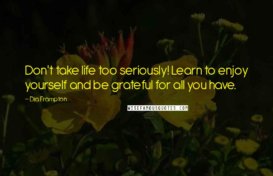 Dia Frampton Quotes: Don't take life too seriously! Learn to enjoy yourself and be grateful for all you have.