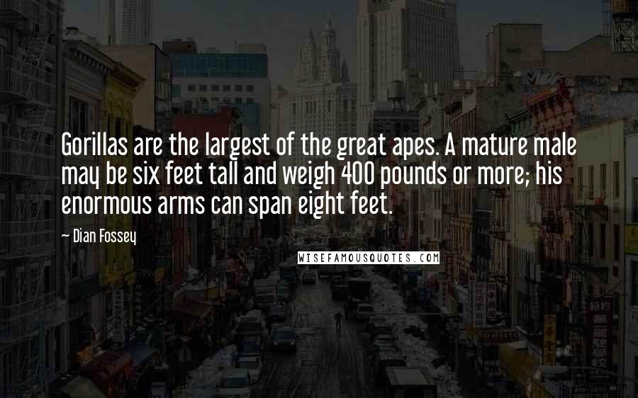 Dian Fossey Quotes: Gorillas are the largest of the great apes. A mature male may be six feet tall and weigh 400 pounds or more; his enormous arms can span eight feet.