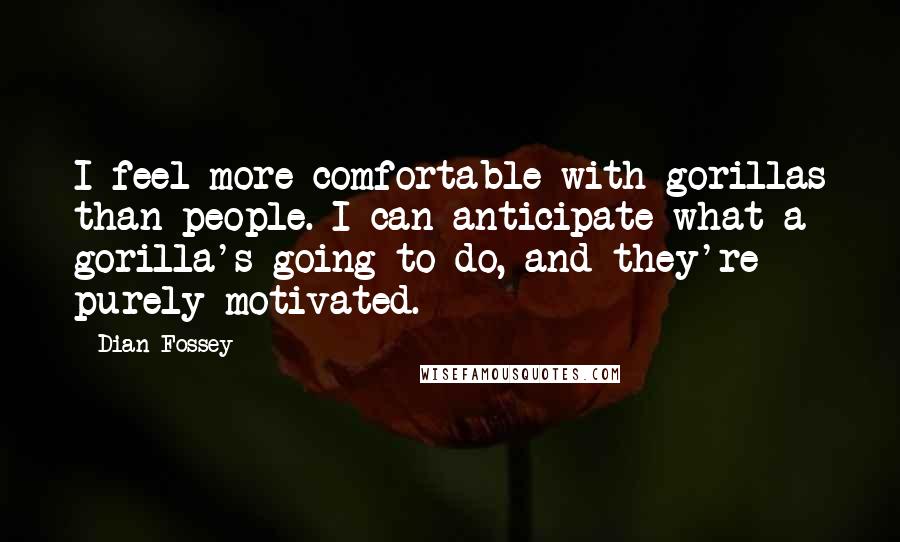 Dian Fossey Quotes: I feel more comfortable with gorillas than people. I can anticipate what a gorilla's going to do, and they're purely motivated.