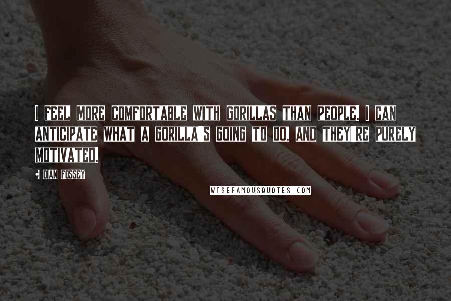 Dian Fossey Quotes: I feel more comfortable with gorillas than people. I can anticipate what a gorilla's going to do, and they're purely motivated.