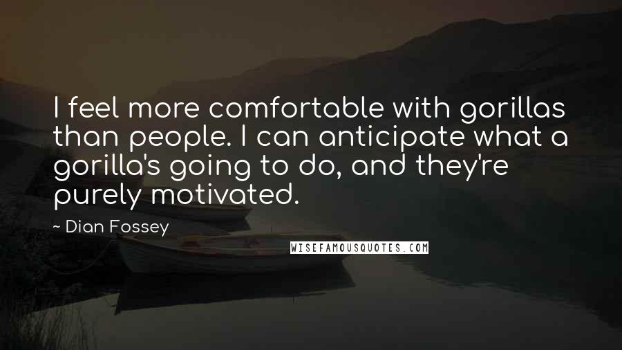 Dian Fossey Quotes: I feel more comfortable with gorillas than people. I can anticipate what a gorilla's going to do, and they're purely motivated.