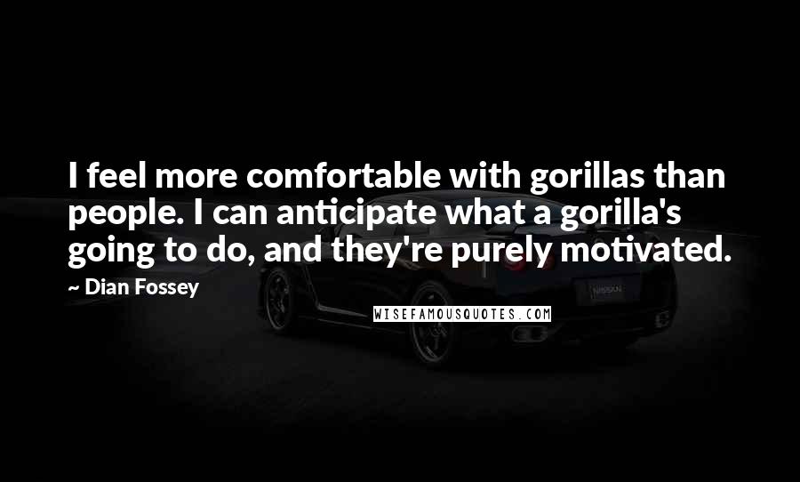 Dian Fossey Quotes: I feel more comfortable with gorillas than people. I can anticipate what a gorilla's going to do, and they're purely motivated.