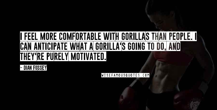 Dian Fossey Quotes: I feel more comfortable with gorillas than people. I can anticipate what a gorilla's going to do, and they're purely motivated.