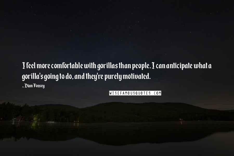 Dian Fossey Quotes: I feel more comfortable with gorillas than people. I can anticipate what a gorilla's going to do, and they're purely motivated.