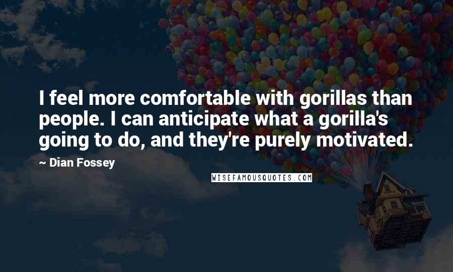 Dian Fossey Quotes: I feel more comfortable with gorillas than people. I can anticipate what a gorilla's going to do, and they're purely motivated.