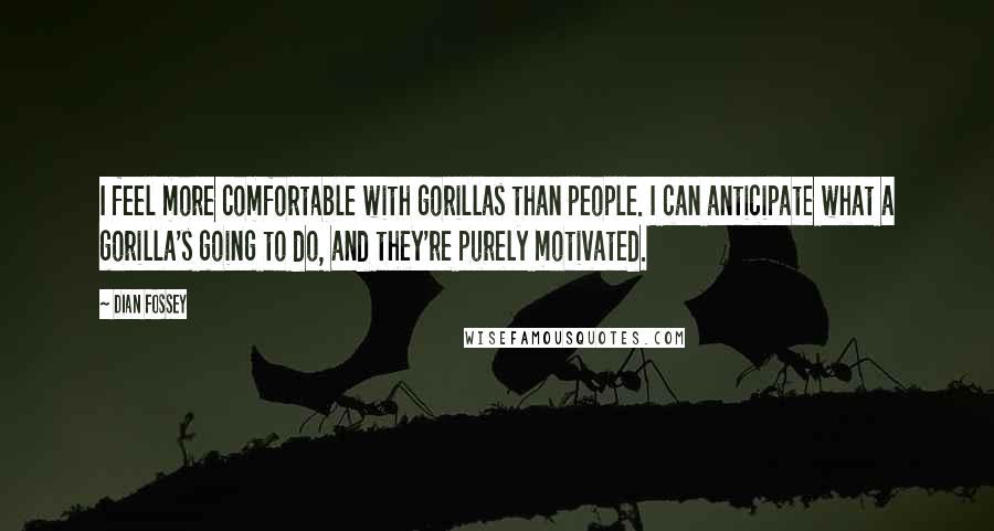 Dian Fossey Quotes: I feel more comfortable with gorillas than people. I can anticipate what a gorilla's going to do, and they're purely motivated.