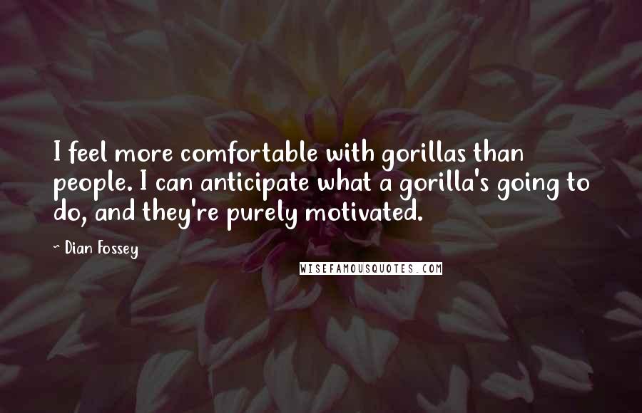 Dian Fossey Quotes: I feel more comfortable with gorillas than people. I can anticipate what a gorilla's going to do, and they're purely motivated.