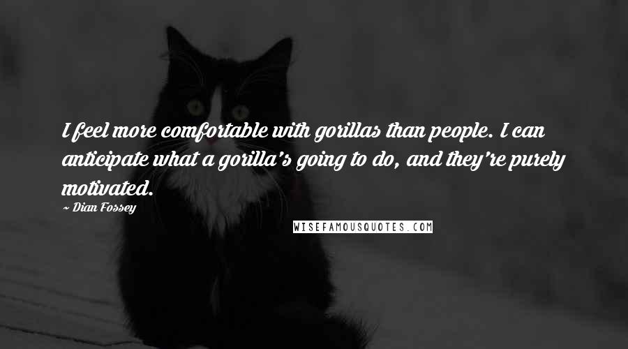 Dian Fossey Quotes: I feel more comfortable with gorillas than people. I can anticipate what a gorilla's going to do, and they're purely motivated.