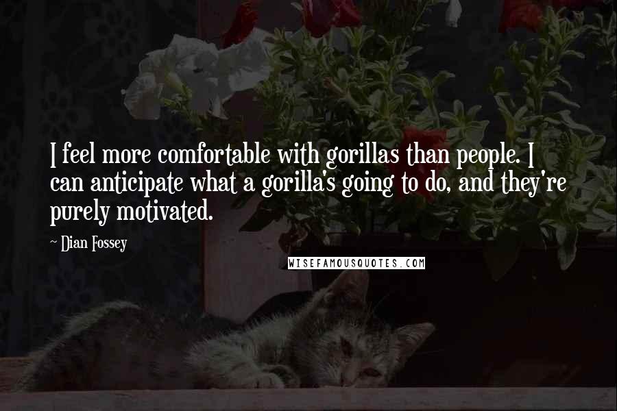 Dian Fossey Quotes: I feel more comfortable with gorillas than people. I can anticipate what a gorilla's going to do, and they're purely motivated.