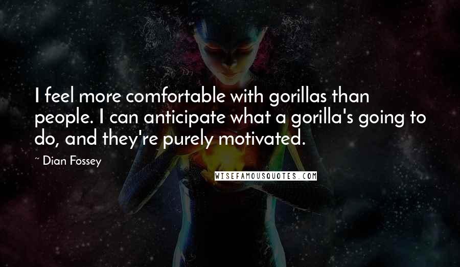 Dian Fossey Quotes: I feel more comfortable with gorillas than people. I can anticipate what a gorilla's going to do, and they're purely motivated.