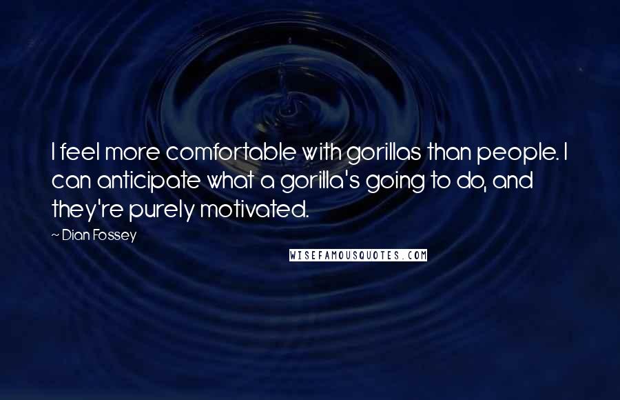 Dian Fossey Quotes: I feel more comfortable with gorillas than people. I can anticipate what a gorilla's going to do, and they're purely motivated.