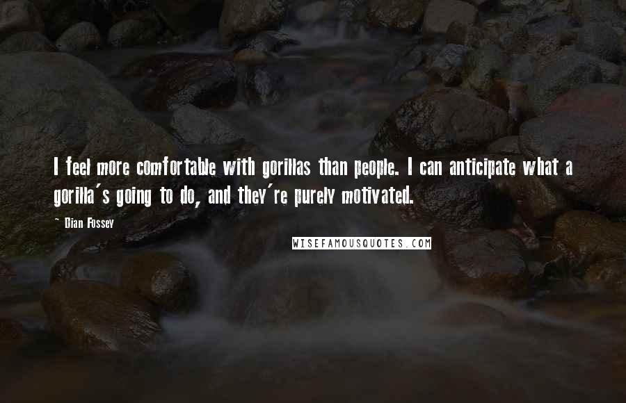 Dian Fossey Quotes: I feel more comfortable with gorillas than people. I can anticipate what a gorilla's going to do, and they're purely motivated.