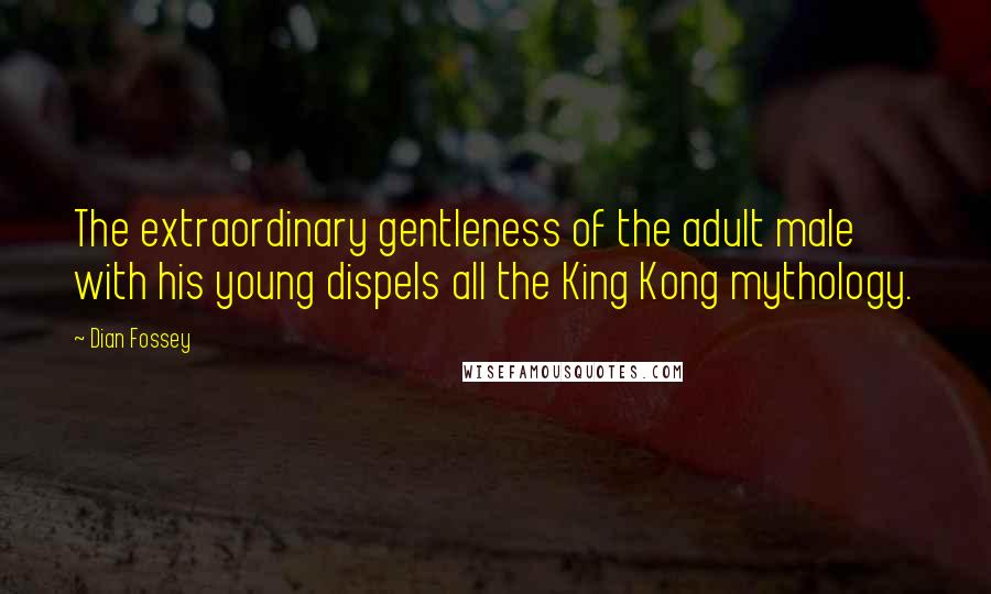 Dian Fossey Quotes: The extraordinary gentleness of the adult male with his young dispels all the King Kong mythology.