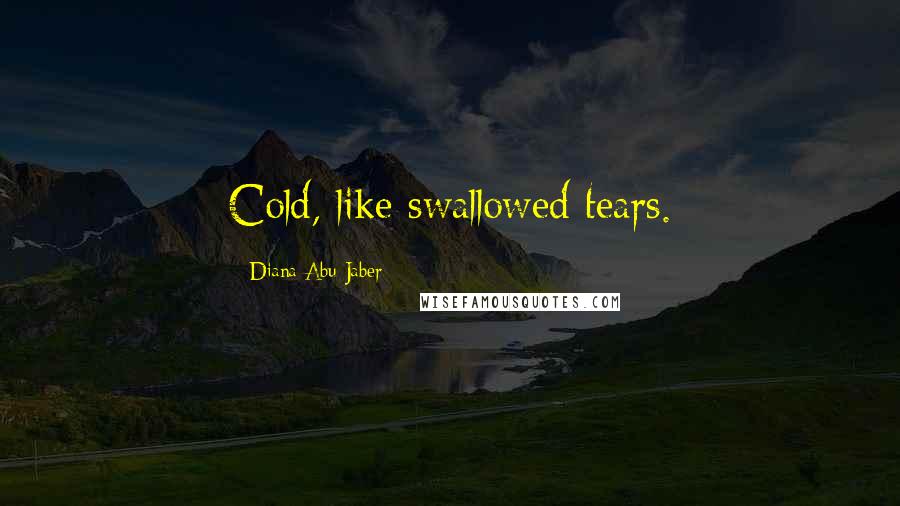 Diana Abu-Jaber Quotes: Cold, like swallowed tears.