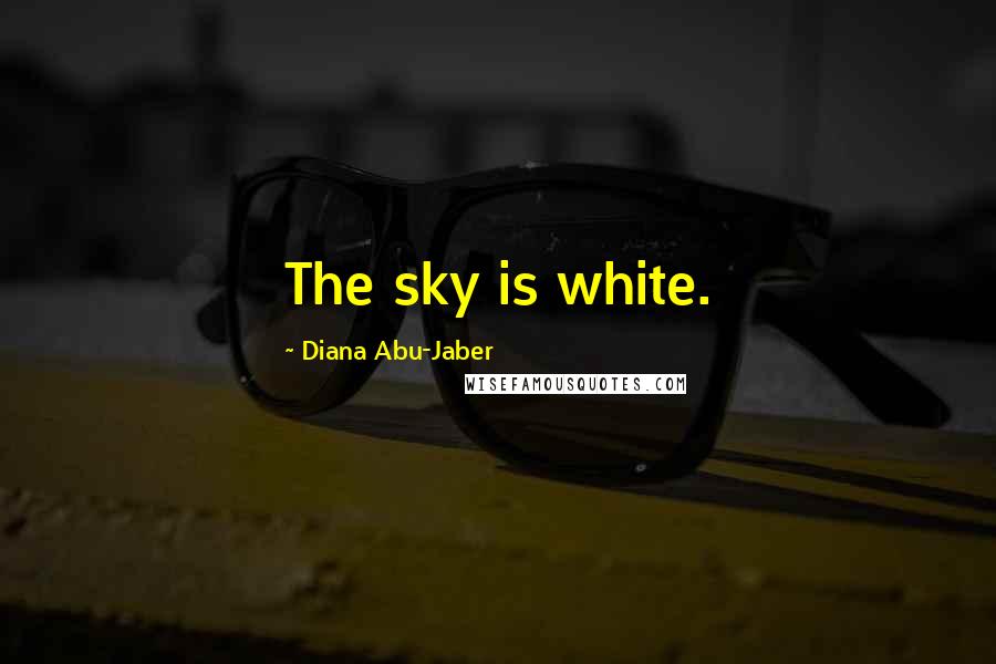 Diana Abu-Jaber Quotes: The sky is white.