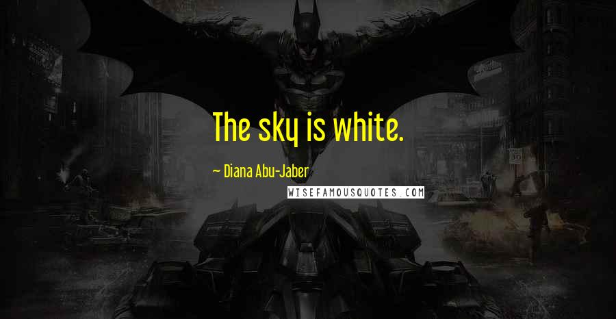 Diana Abu-Jaber Quotes: The sky is white.