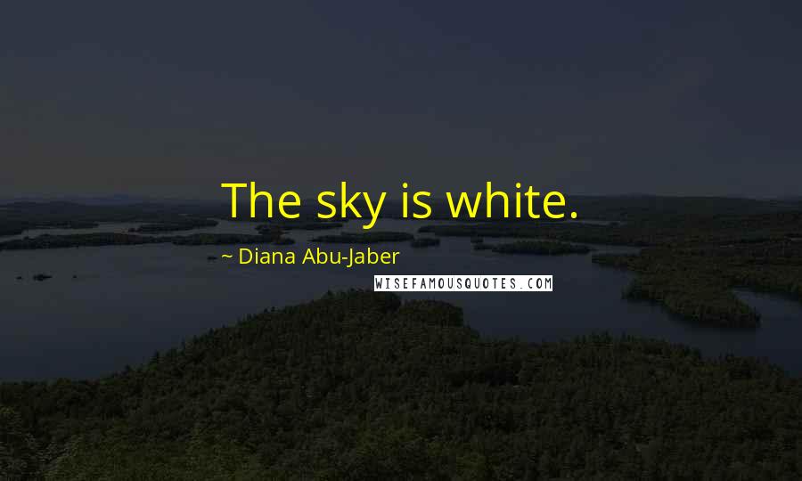 Diana Abu-Jaber Quotes: The sky is white.