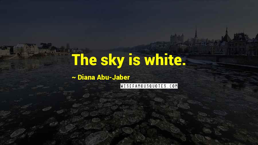 Diana Abu-Jaber Quotes: The sky is white.