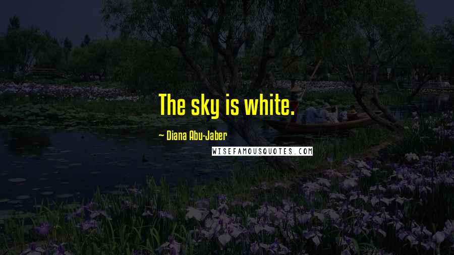 Diana Abu-Jaber Quotes: The sky is white.