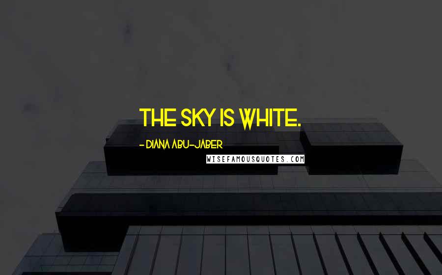 Diana Abu-Jaber Quotes: The sky is white.