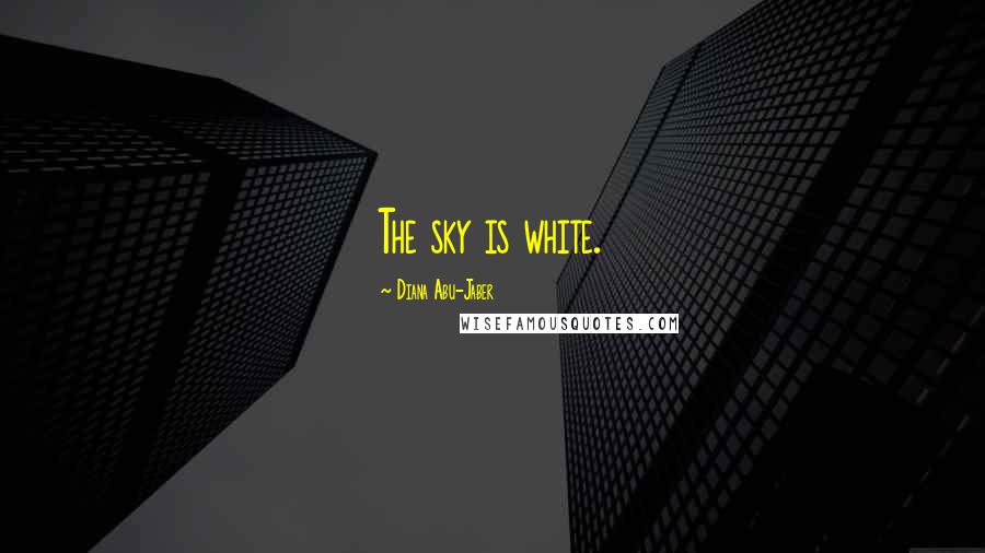 Diana Abu-Jaber Quotes: The sky is white.