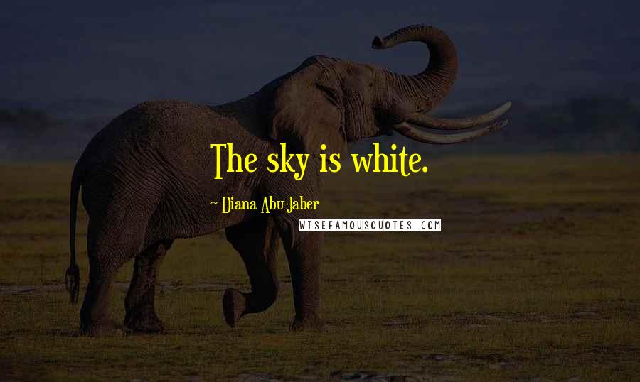 Diana Abu-Jaber Quotes: The sky is white.