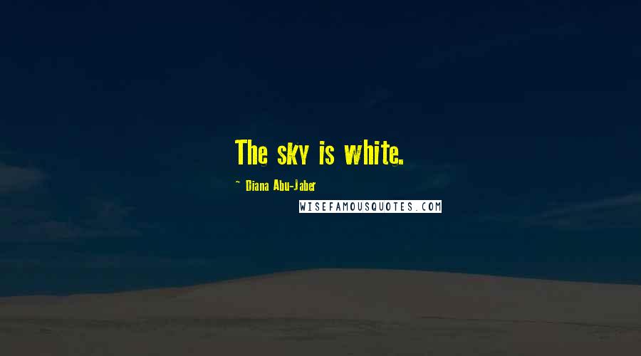 Diana Abu-Jaber Quotes: The sky is white.