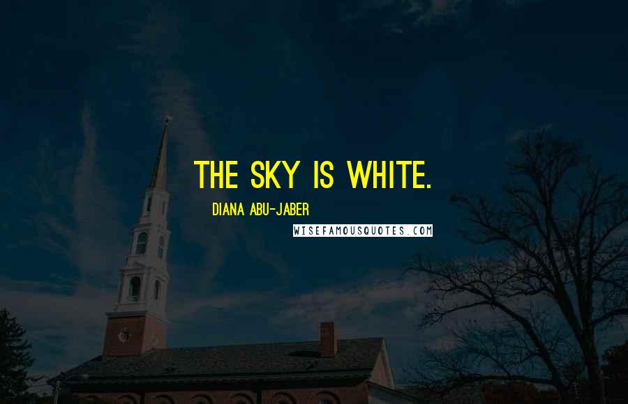 Diana Abu-Jaber Quotes: The sky is white.