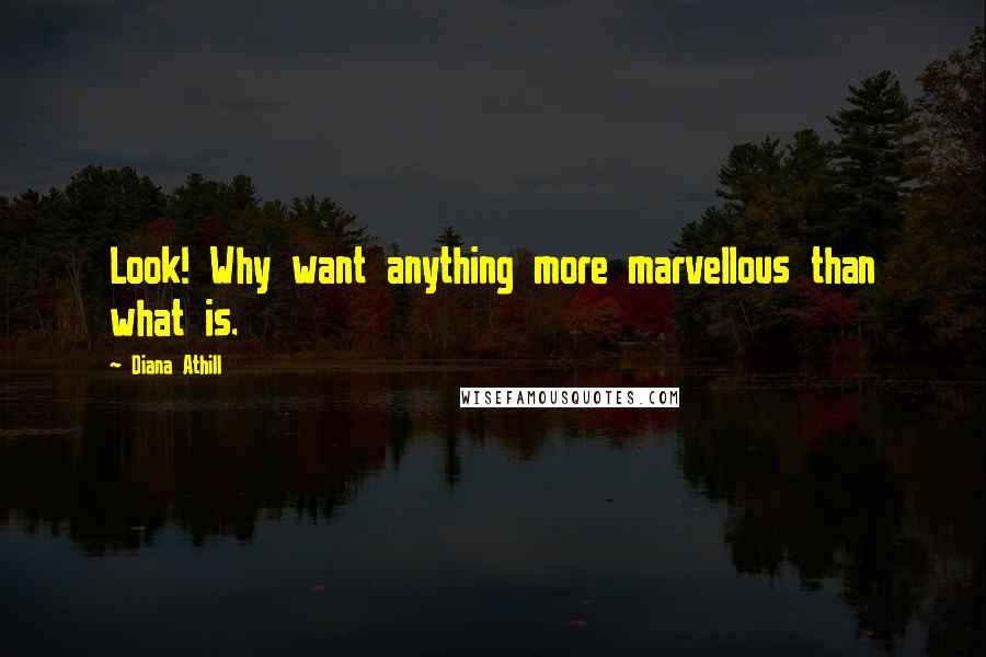 Diana Athill Quotes: Look! Why want anything more marvellous than what is.