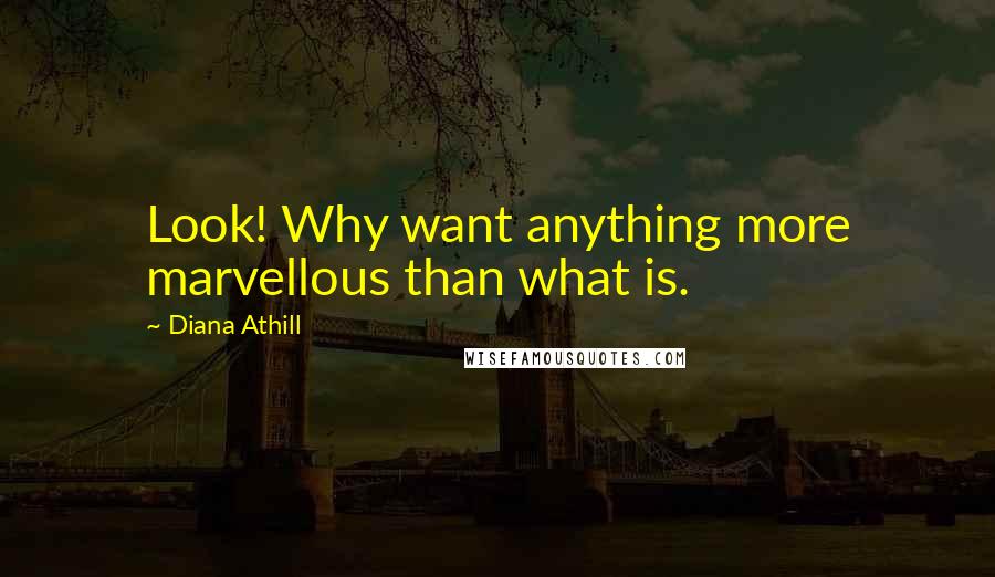 Diana Athill Quotes: Look! Why want anything more marvellous than what is.