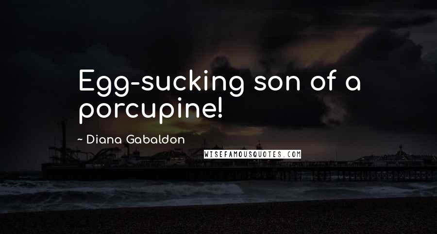 Diana Gabaldon Quotes: Egg-sucking son of a porcupine!