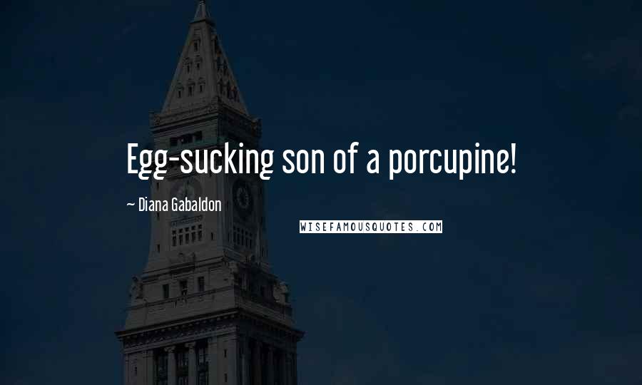 Diana Gabaldon Quotes: Egg-sucking son of a porcupine!