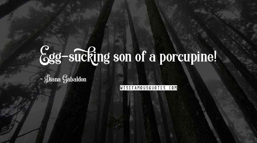 Diana Gabaldon Quotes: Egg-sucking son of a porcupine!
