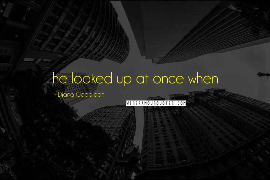 Diana Gabaldon Quotes: he looked up at once when