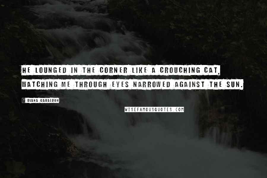 Diana Gabaldon Quotes: He lounged in the corner like a crouching cat, watching me through eyes narrowed against the sun.