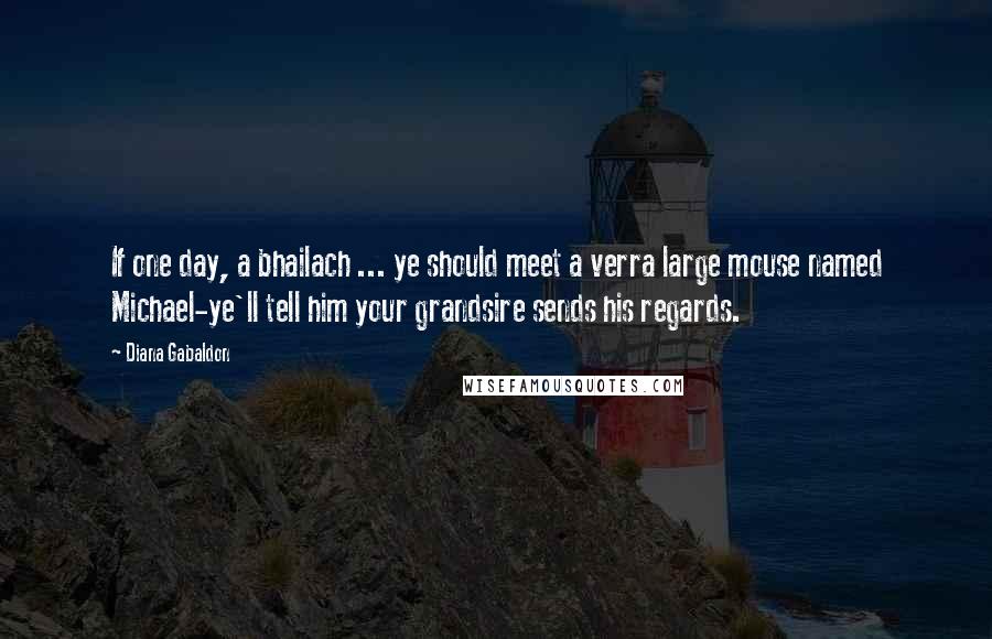 Diana Gabaldon Quotes: If one day, a bhailach ... ye should meet a verra large mouse named Michael-ye'll tell him your grandsire sends his regards.