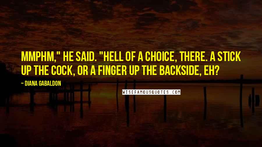 Diana Gabaldon Quotes: Mmphm," he said. "Hell of a choice, there. A stick up the cock, or a finger up the backside, eh?