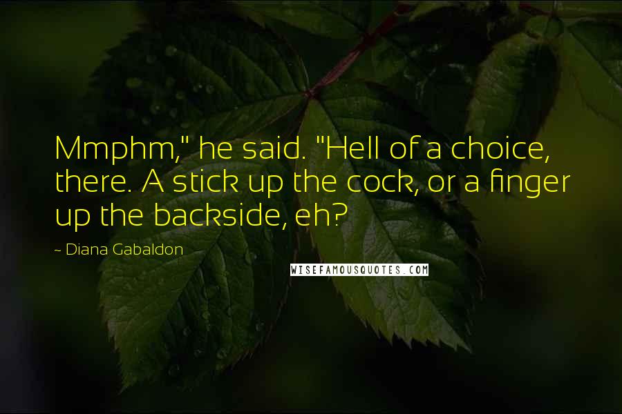 Diana Gabaldon Quotes: Mmphm," he said. "Hell of a choice, there. A stick up the cock, or a finger up the backside, eh?