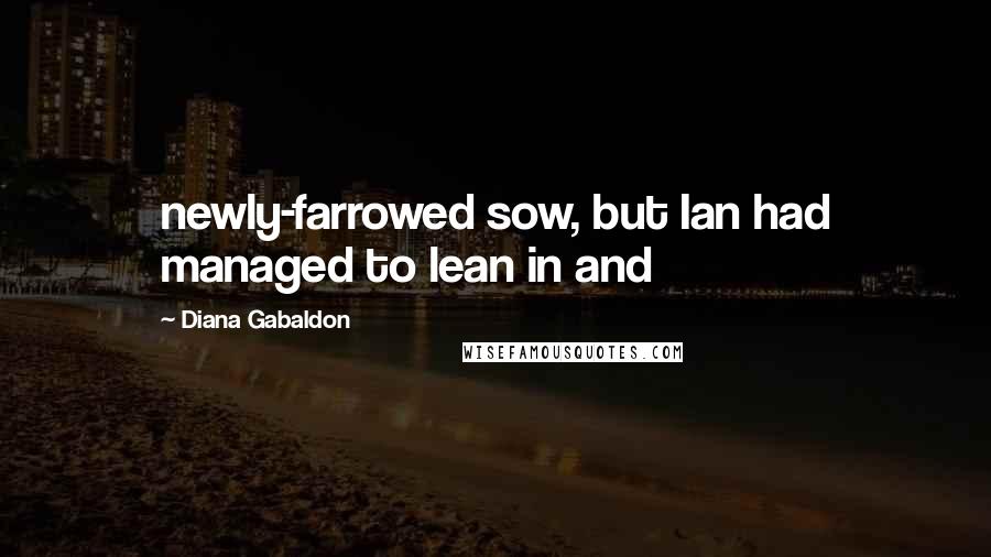Diana Gabaldon Quotes: newly-farrowed sow, but Ian had managed to lean in and